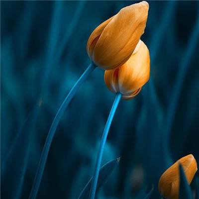 闪电越野摩托大赛