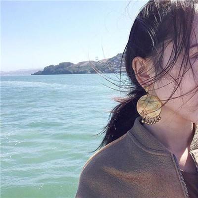 疯狂戴夫植物冒险